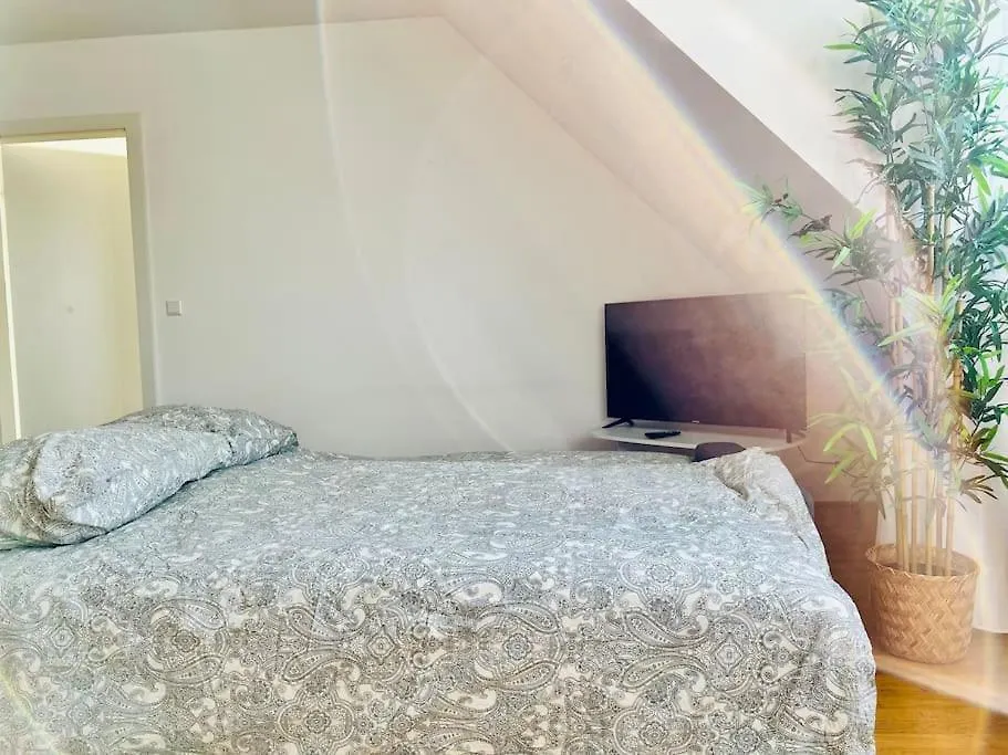 Premium 90 M2 Rooftop - Free Parking Apartment Vienna